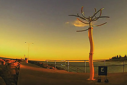 Cottesloe beach sculptures 2014